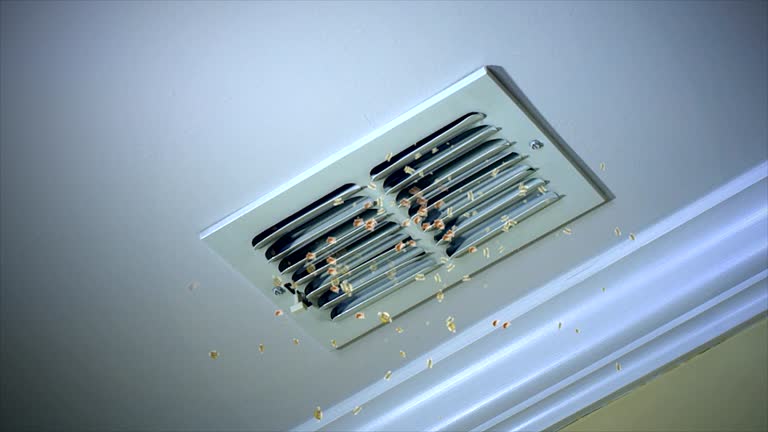 Best Professional Duct Cleaning Services  in Avonia, PA