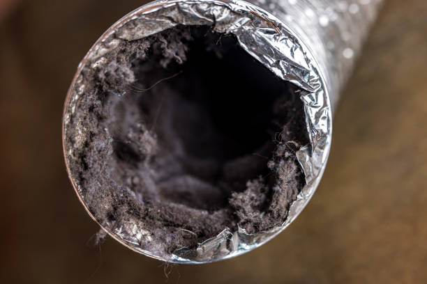 Best Residential Air Duct Cleaning  in Avonia, PA